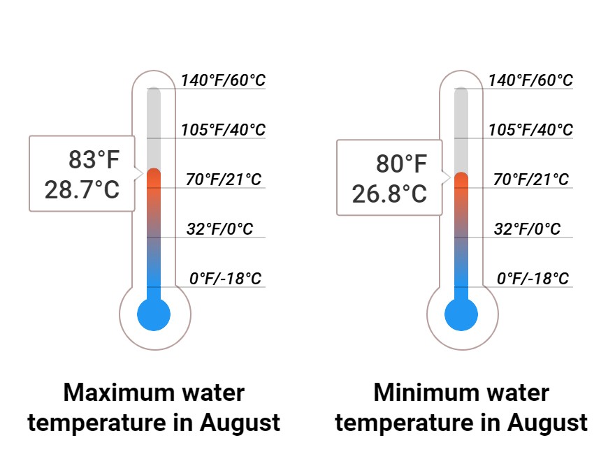 Average Sea temperature